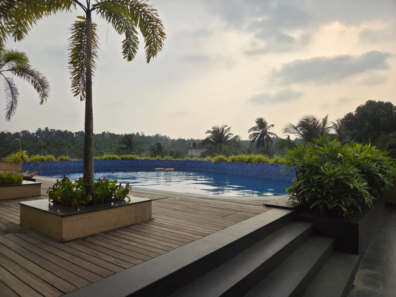 A backyard swimming pool bordered by a wood deck with a palm planter under a soft evening sky
