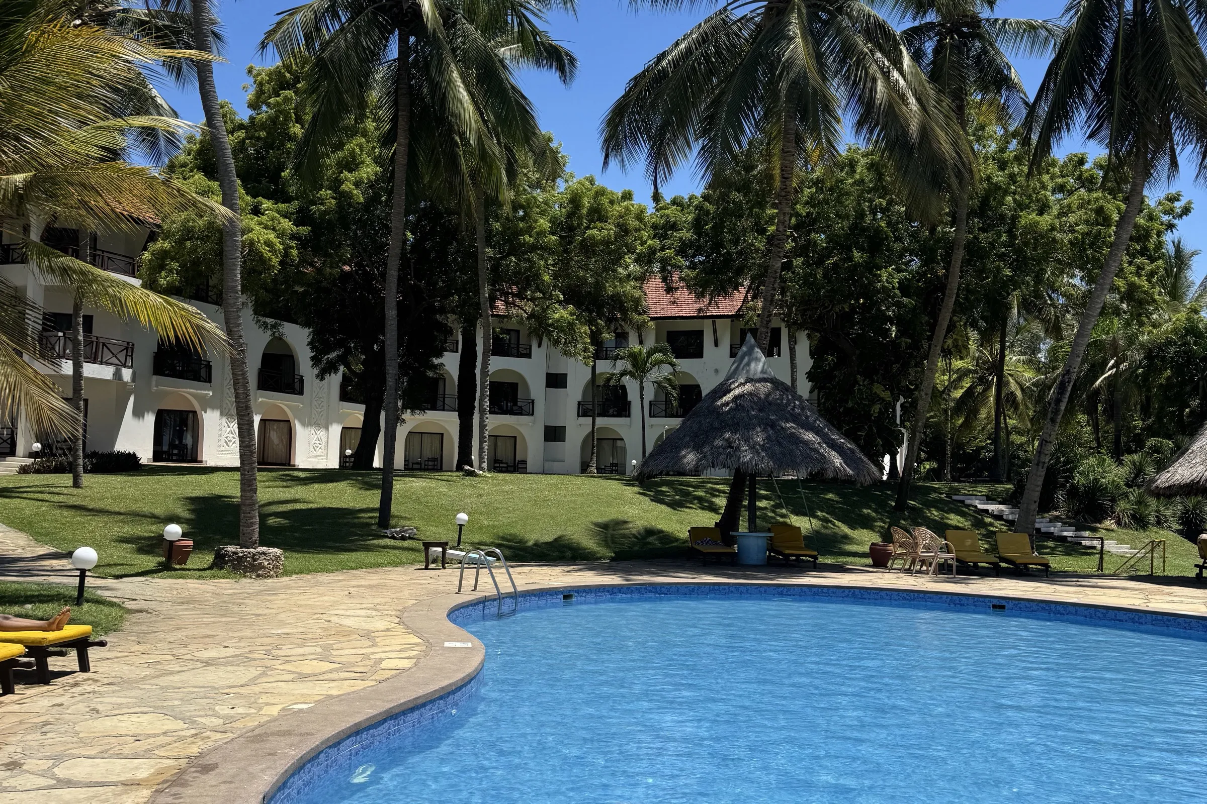 A sunny resort swimming pool ringed by palm trees and poolside loungers