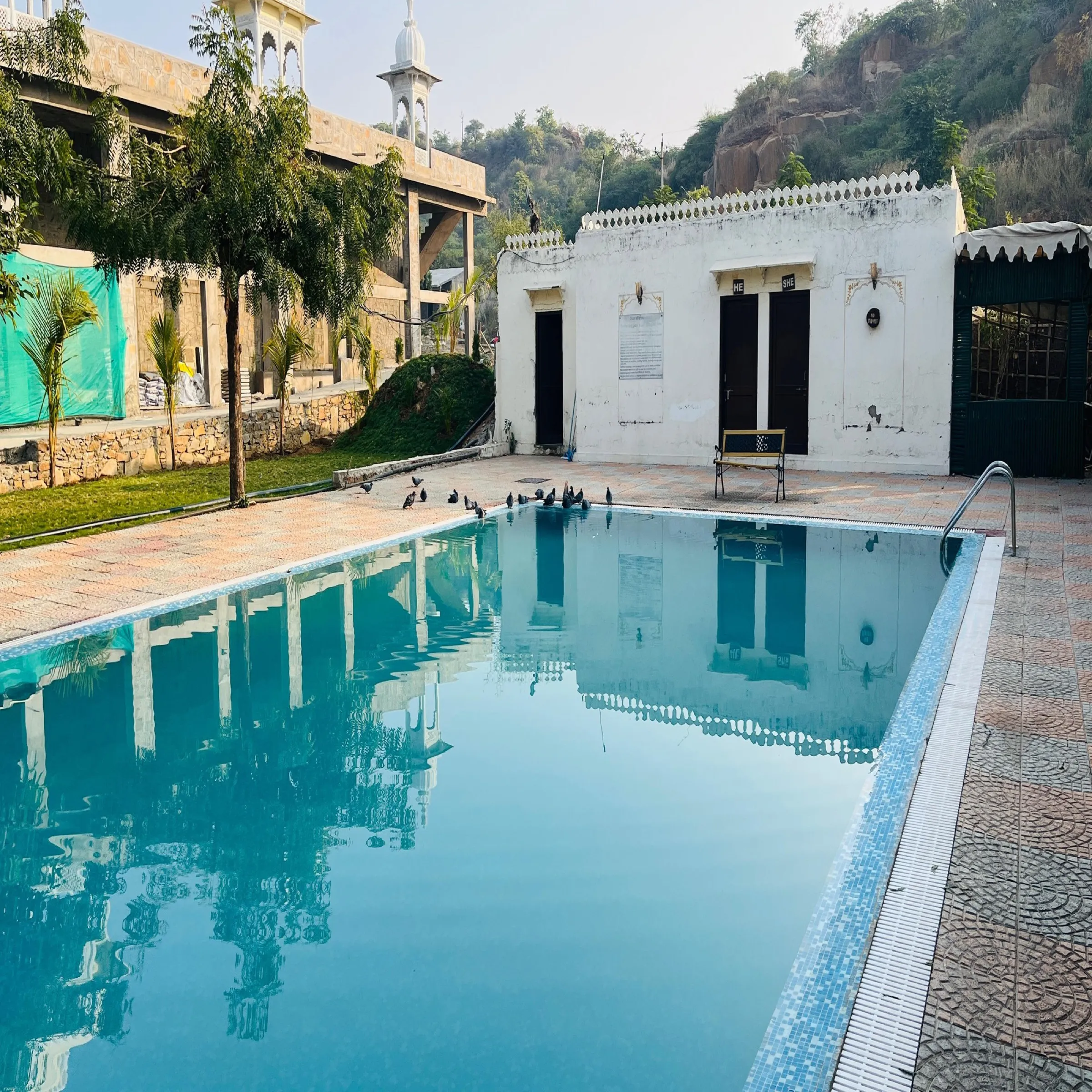 A backyard swimming pool with a tiled deck on a bright summer day