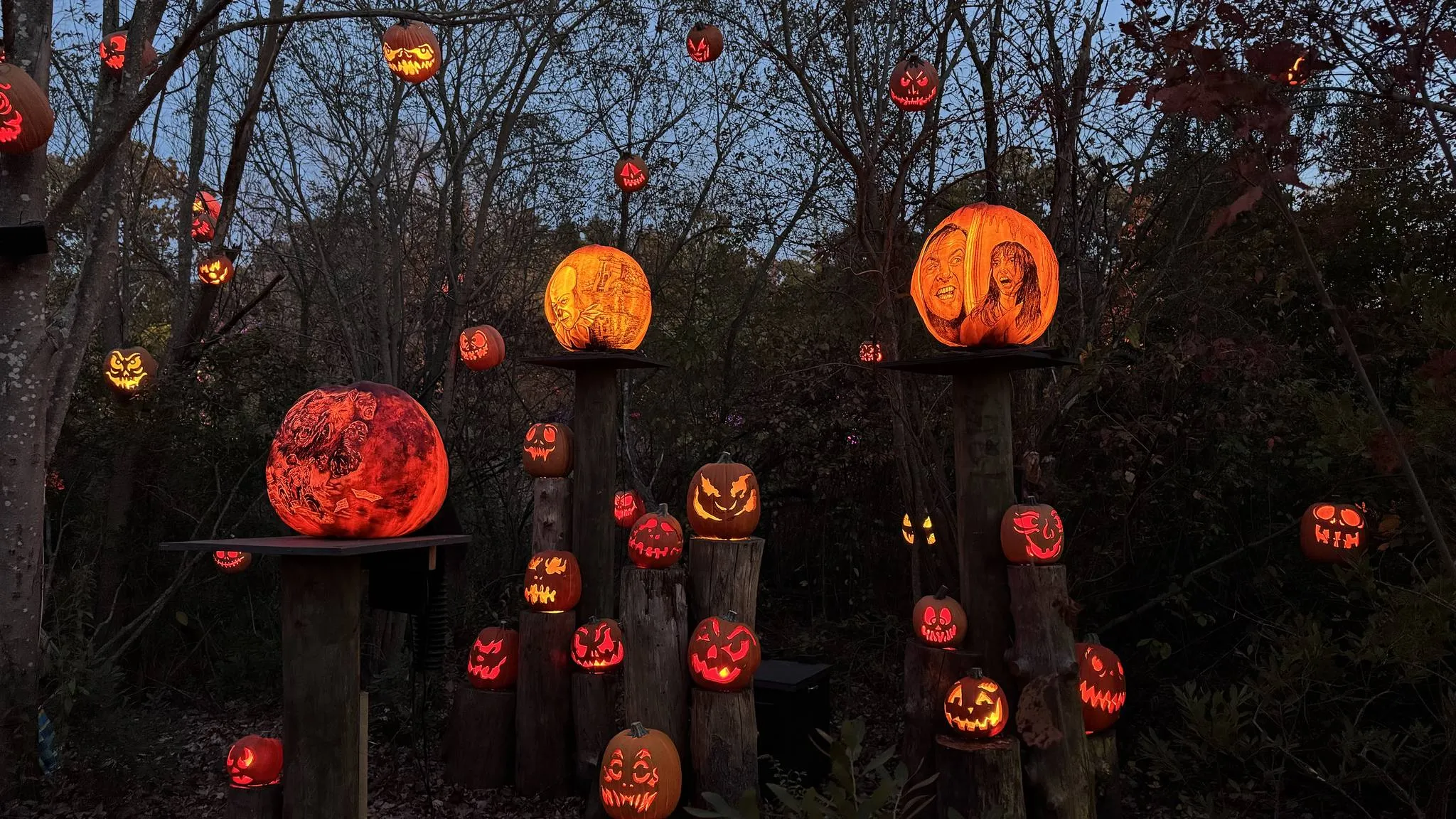 Dozens of carved jack-o'-lanterns glowing orange on wooden posts and hanging from bare trees at dusk