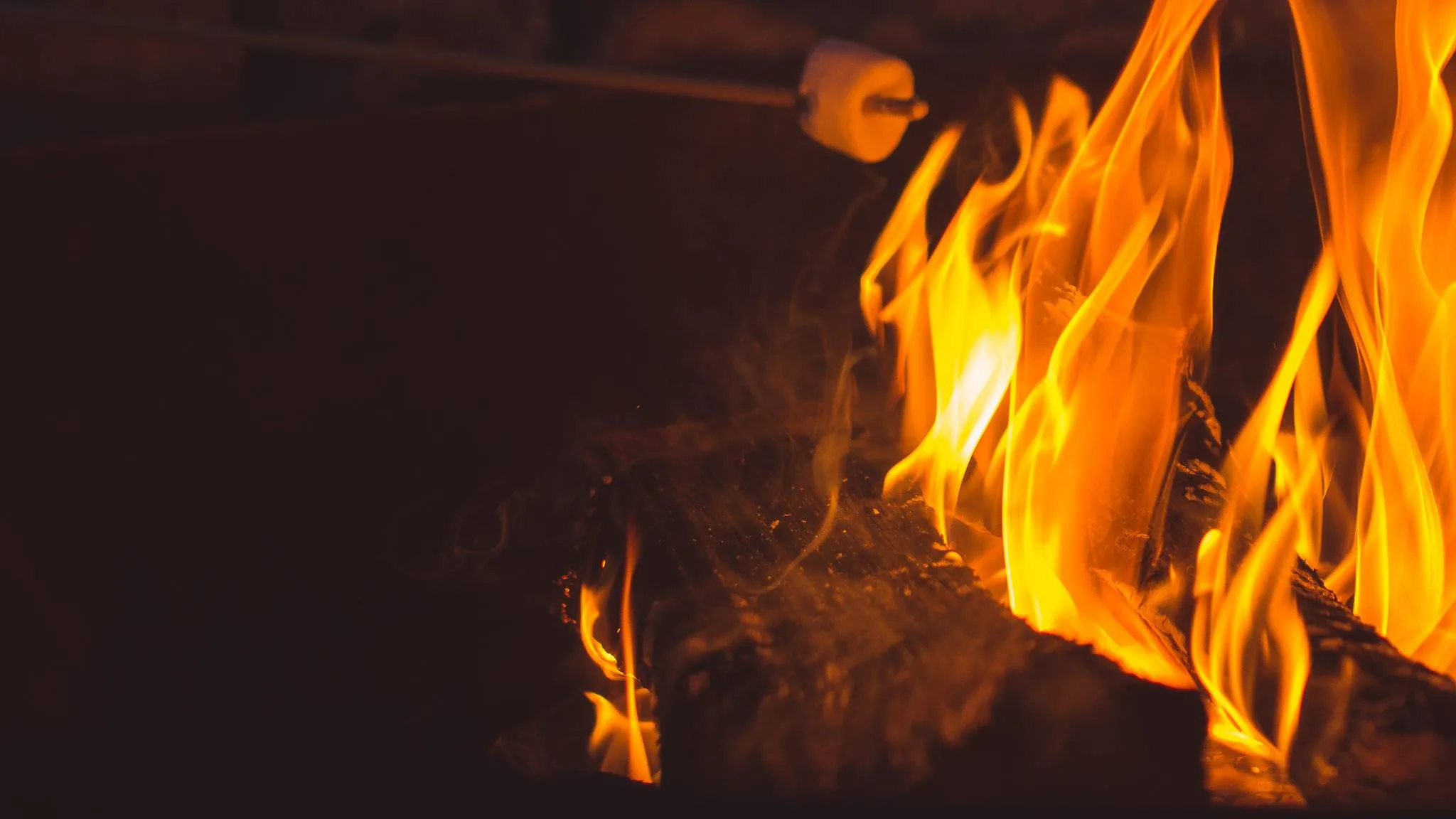 A single marshmallow on a stick held over bright orange wood flames against a dark background