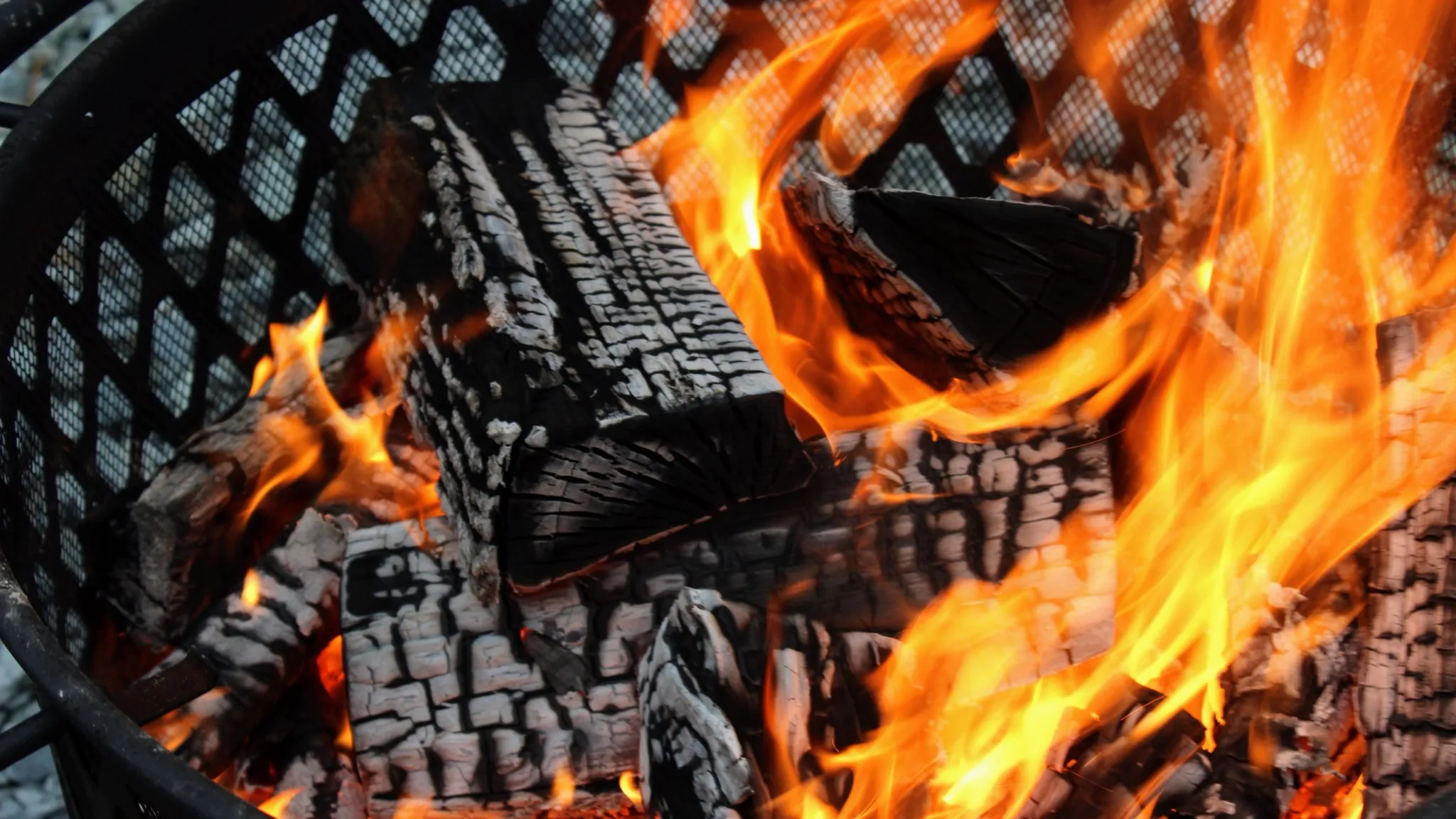 Split logs burning hard inside a black steel mesh-sided fire pit, flames filling the right of the frame