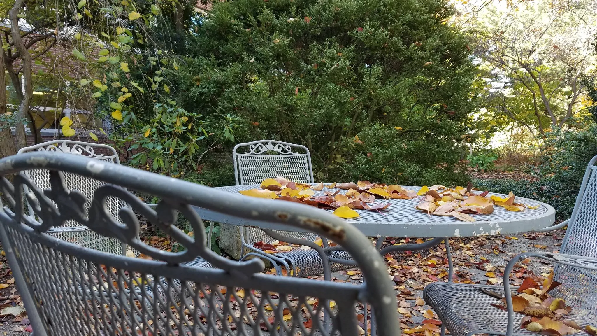 Weathered grey metal patio chairs with chipped paint around a round table covered in autumn leaves