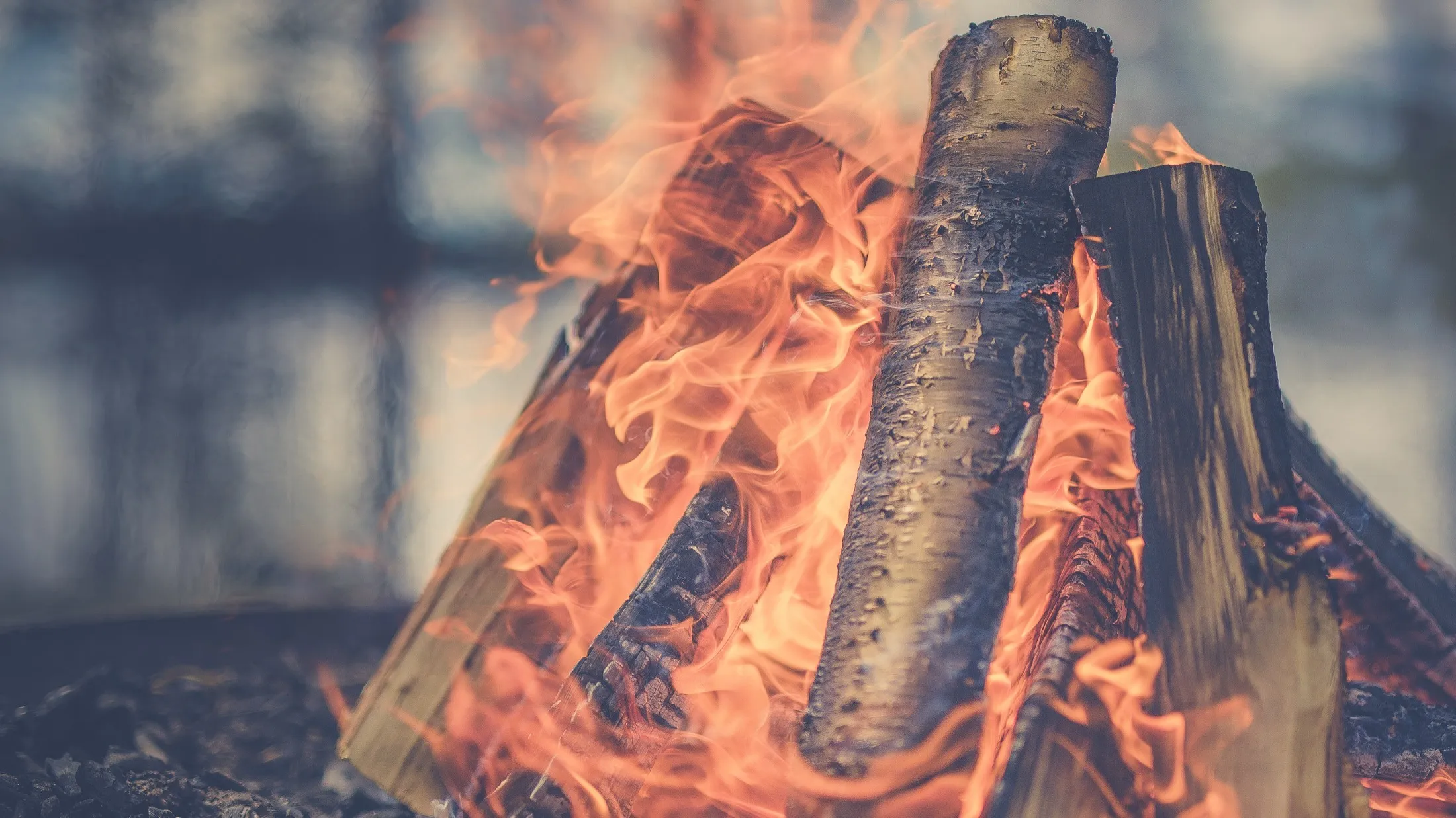 Split logs stacked upright and burning hard, flames rising between them, the background thrown out of focus